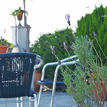 Alecrim Rosmaninho Пиньел